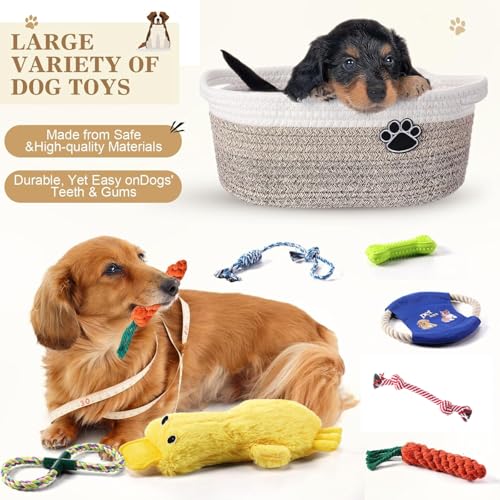 Zopeal Dog Toy Gift Basket Set for Puppy Birthday, Khaki - color: Khaki