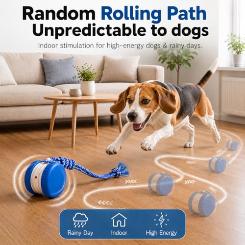(2 Pack) Interactive Dog Toys for Small Dogs — Boredom Relief & Indoor Enrichment, Automatic Rolling Ball with Rope, Motion Activated Self Moving Dog Toy (Blue + Orange)