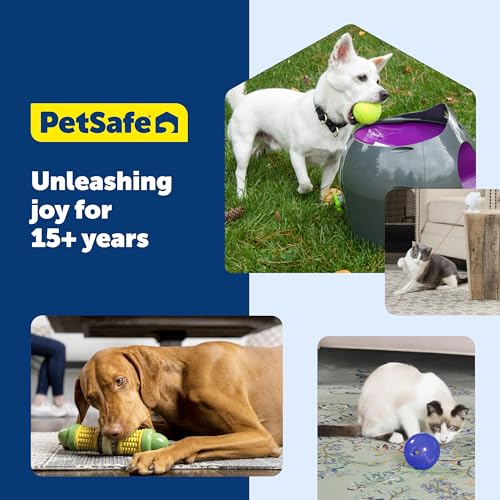 PetSafe Frosty Cone Dog Toys – Fill and Freeze Treat Holding Chew Toy – BPA Free Rubber – French Vanilla Scented – Interactive Pet Puzzle for Boredom or Separation Anxiety - size: Small (Pack of 1), style: Frosty Cone