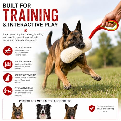 Sheepskin Dog Tug Toy with Bungee Handle – Genuine Sheepskin Training Toy for Dogs – Interactive Tug & Chase Toy for Recall, Agility & Obedience Training – 24" Long (Medium)