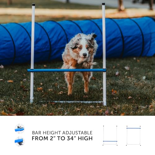 Better Sporting Dogs Complete Starter Agility Set for Dogs, 5 Piece