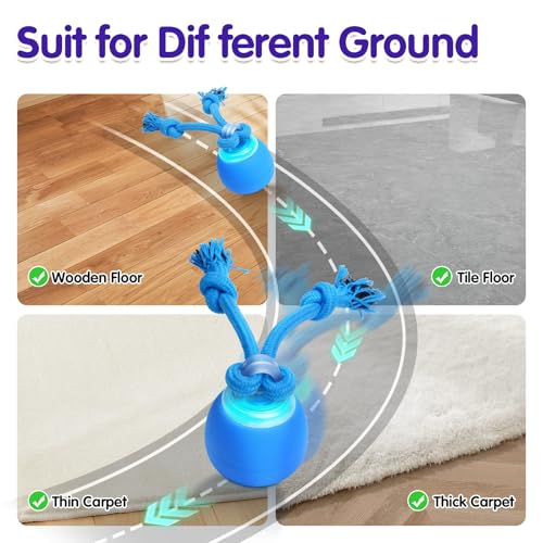 Interactive Dog Toys, Moving Dog Ball with Touch Activated, Active Rolling Ball for Puppy and Medium Dogs, Squeaky, USB Rechargeable