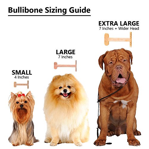Bullibone Nylon Dog Chew Toy for Aggressive Chewers - Dental Hygiene Bone with Bacon Flavor, Durable Tough Chew Toys for Extra Large Dogs, Indestructible Dog Bone - 2 Pack - size: XL - 2 Pack
