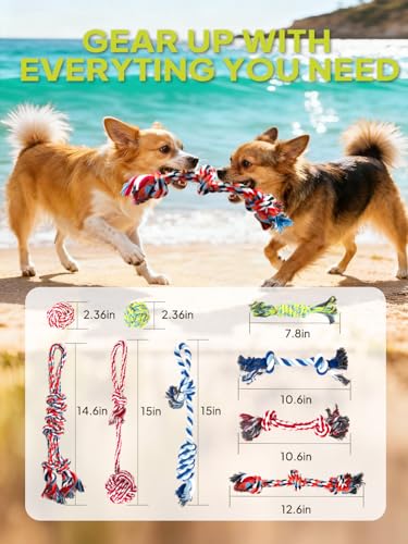 TwoEar Dog Rope Toy 9 Pack - Puppy Teething Toys for Small Medium Breed - color: Blue, size: Mini/Small