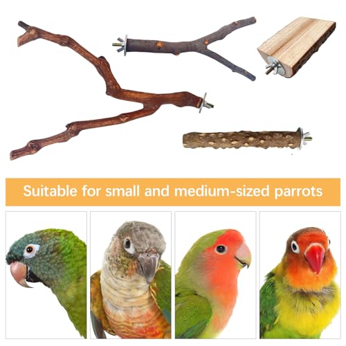 5PCS Bird Perch Stand, Bird Perch Stand Natural Wood Standing - color: Wood