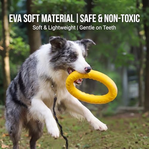 Dog Toys, Dog Chew Toys for Aggressive Chewers,Flying Discs for Medium/Large Breeds. Floating Dog Ring Toys for Throwing, Catching, Grabbing. (Large) - size: Large