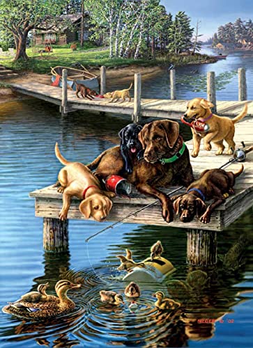SunsOut Summer School 500 Large Piece Adult Jigsaw Puzzle 28497
