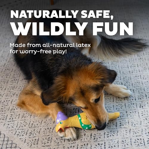 Outward Hound Squawkers Squeaky Latex Dog Toy, Grandma Hippie, 11.3" - color: Grandma Hippie Chick, size: Large