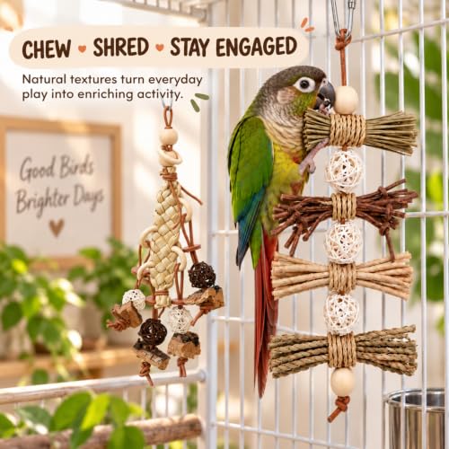 4 Pack Natural Bird Toys for Parrots, Parakeets & Cockatiels - Wood, Cork Bark, Raffia & Corn Husk Chew Set - Foraging Shredding Toys for Budgies, Conures, Lovebirds & Small Birds