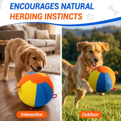 Herding Ball for Dogs, Herding Ball for Australian Shepherd 18"/22" Dog Toy - size: Small