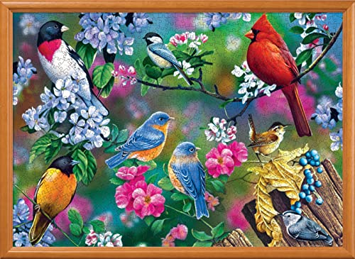 MasterPieces 1000 Piece Jigsaw Puzzle for Adults, Family, Or Youth - Songbird Collage - 19.25"x26.75" - style: Songbird Collage