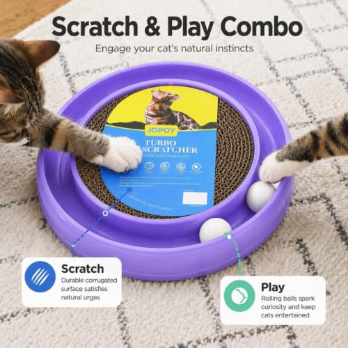 Cat Scratcher Toy Ball Track (Purple) - color: Purple