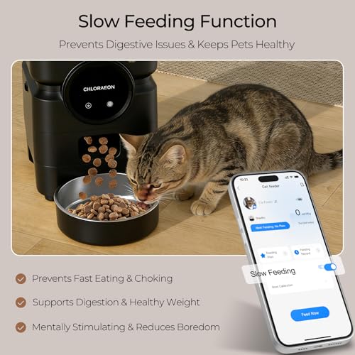 Automatic Cat Feeder for 3 Cats, 6L 2.4G WiFi Feeder, Slow Feed, Black - color: Black