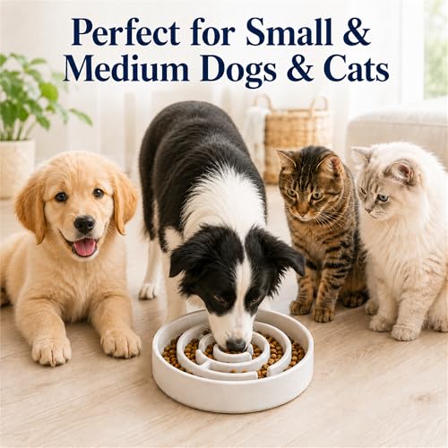 Ceramic Slow Feeder Dog Bowl 1.5 Cup Puzzle Dish for Small Medium Dogs - color: Ceramic-White