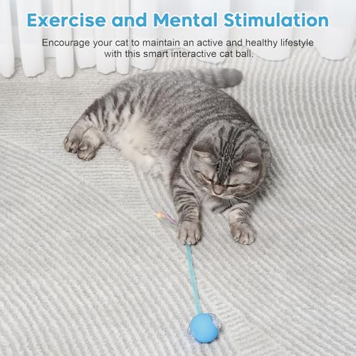 Interactive Cat Toys for Indoor Cats & Dogs, Agile Moving Cat Ball with Elastic Mesh Tail, Rechargeable Enrichment Toys, Smart Automatic Rolling Pet Ball Toys for Bored Indoor Dogs & Cats (Blue)