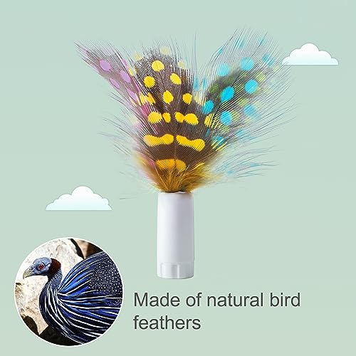 ORSDA 12 Pcs Feathers Replacement Accessories, ONLY Fits T60/ T62