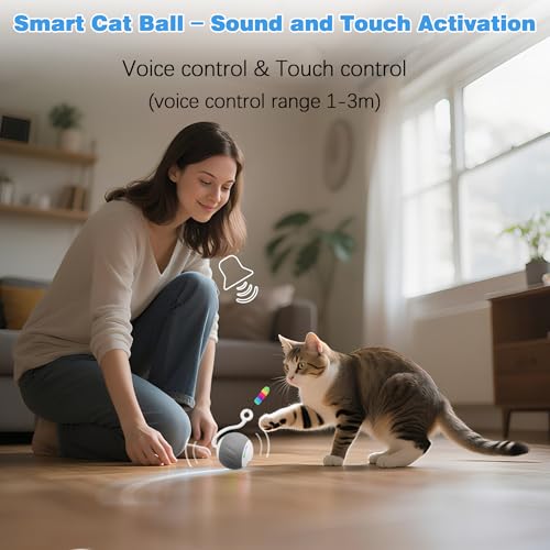 Upgraded 2.36 Inch Large Interactive Cat Toys Ball for Indoor Cats, Gray - color: Gray