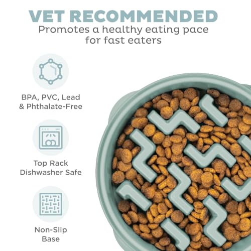 Outward Hound Fun Feeder Slo Bowl Dog Slow Feeder, Notch, Sage, 9.1", Medium (Pack of 12) - color: Sage, size: Medium (Pack of 12)