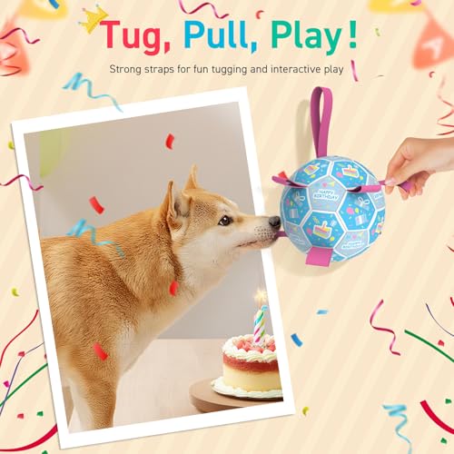 QDAN Dog Birthday Toys, Puppy Birthday Gifts, Dog Soccer Ball with Straps - color: Birthday Blue, size: Large Size 3 (8 Inch)