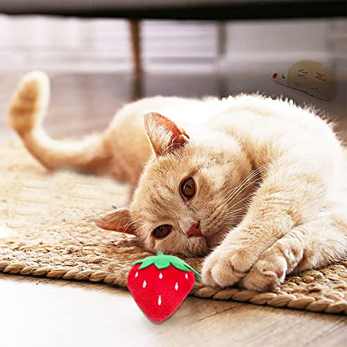 Mini Cat Catnip Toys for Indoor Cats 10 Pack
