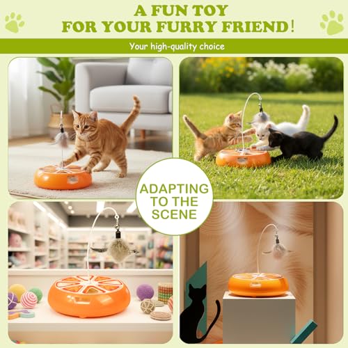 Puffluv Interactive Cat Toy,2 in 1Fruite Shape Toys with Electric Moving Concealed and Hanging Feathers Pop and Play Hide Seek, Hunting,Tpye-C Rechargeable-Orange - color: ORANGE