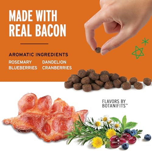 Pet Botanics Training Rewards Mini Soft & Chewy, Bacon Flavor, 10 oz