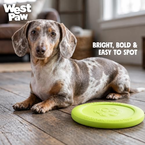 WEST PAW Zisc High-Flying Disc Dog Toy - Small – Tangerine - color: Tangerine, size: Small