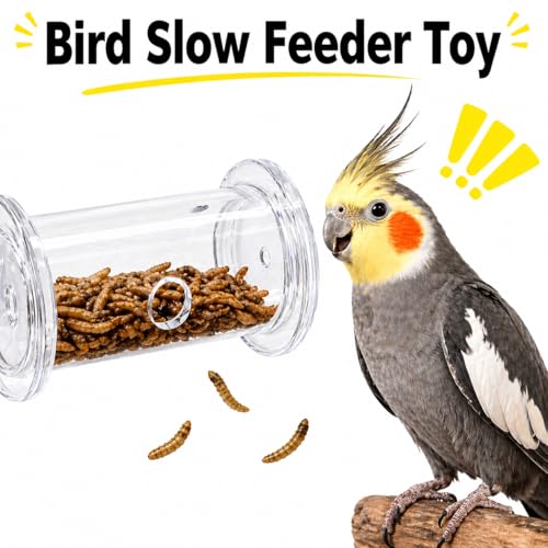 Bearded Dragon Toy - Reptile Enrichment Interactive Feeder Toy