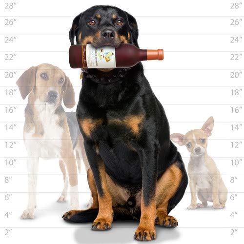 SILLY SQUEAKERS Tuffy 2 Pack Grrrobert Slobbery Wine Bottle Dog Toys: Squeaky Dog Toy, Washable and Floats, Vinyl Construction - color: 2PK Red Groobert Slobbery Wine Bottle