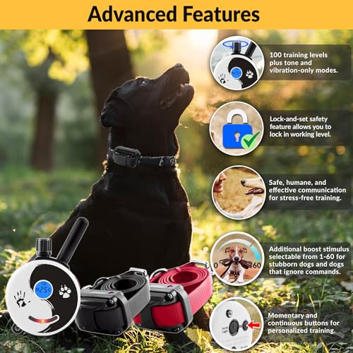 E-Collar Educator ZEN-302 Dog Training Collar with Remote, 2 Dogs - color: Zen, size: 2 Dog