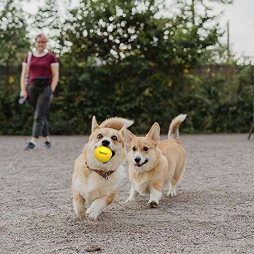 Dog Balls Indestructible,Solid Rubber Bouncy for Dogs Aggressive Chewers Large Breed,Non-Toxic&Floating&High Elasticity,Durable Fetch Ball Medium to Chew,Play and Training. (Yellow) - color: Balls Yellow, size: 2.7 In(7cm)