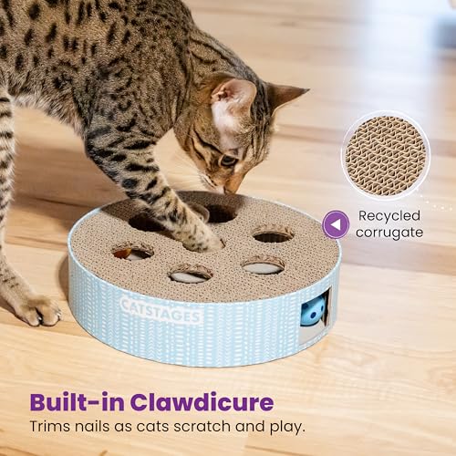 Catstages Scratch N' Hunt Interactive Cat Puzzle Toy with Scratcher, 11"