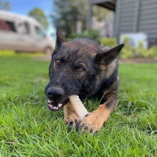 Nylabone Power Chew Textured Knuckle Bone Dog Chew Toys, X-Large, 2 Count - size: X-Large