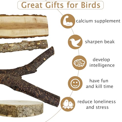kathson Natural Bird Perches Wood Bird Flat Perch Parrot Swing Parakeet Platform Chew Toys Paw Grinding Stick Cage Accessories Exercise Toy for Cockatiels Budgies Lovebirds Conures Finches