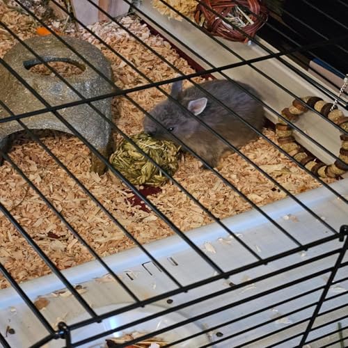PINVNBY 6 Pack Rabbit Chew Grass Balls,Natural Timothy Woven Bunny Hay Ball Teeth Grinding Activity Play for Hamster Chinchillas Gerbils Guinea Pigs and Other Small Animal - size: 【6 PCS】