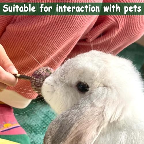 kathson 16PCS Rabbit Timothy Hay Treats Sticks,Interactive Bunny Lollipop Chew Sticks,Natural Guinea Pigs Chewing Treats Molar Teeth Toys for Small Animals,Chinchilla,Hamster,Gerbil - color: 16