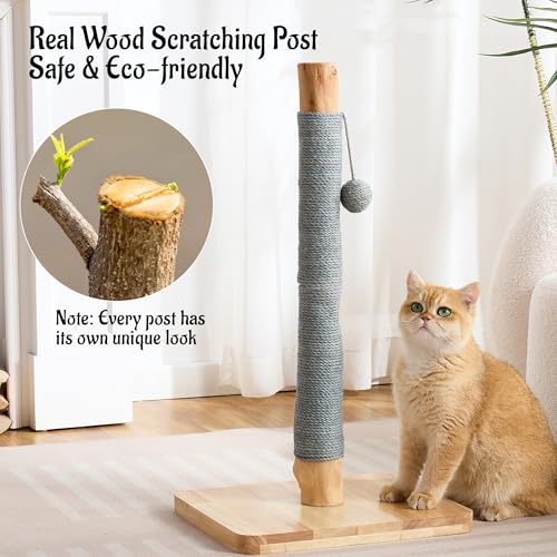 29" Tall Solid Wood Cat Scratching Post for Indoor Cats, Extra Stable Heavy Base, Natural Sisal Scratcher with Hanging Ball, Furniture Protector for Kittens & Adult Cats, Grey - color: Grey