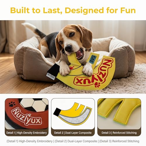 Squeaky Flying Disc for Small Medium Dogs 2-Pack Fetch Rings