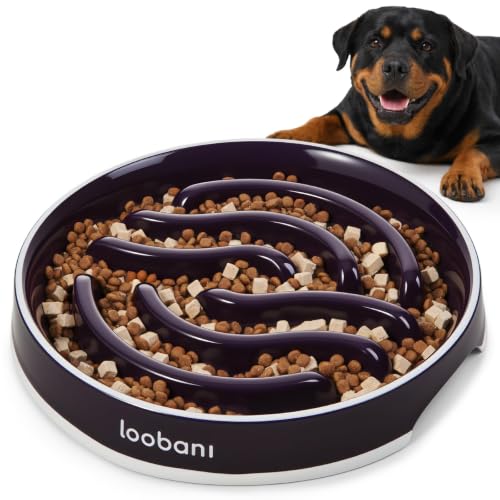 LOOBANI 4.5 Cups Ceramic Slow Feeder Dog Bowls Giant Dogs with Grip Handles - size: XL (4.5 cups)