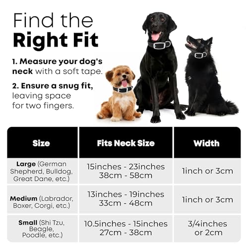 Regal Dog Products Waterproof Dog Collar, Nickel Double Buckle, Large Black - color: Black, size: Large