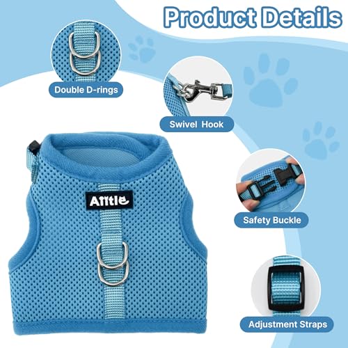 AIITLE Breathable Escape Proof Rabbit Harness and Leash Set, Blue L - color: Blue, size: L