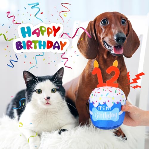 Dansydaisy Dog Birthday Cake Toy Squeaky Plush Gift,12th,Blue - color: Blue, style: 12th