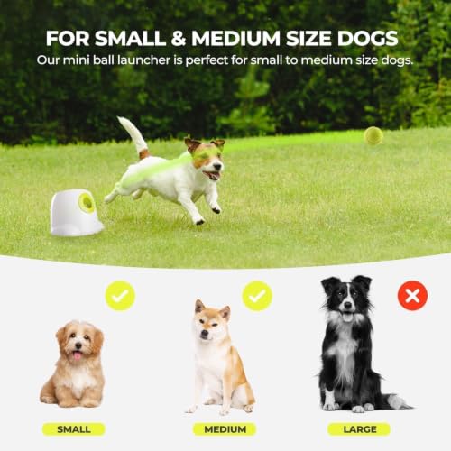 ALL FOR PAWS Automatic Dog Ball Launcher, Interactive Fetch Toy for Small to Medium Dogs, Pet Thrower Machine for Indoor & Outdoor Play, 3 Pcs 2-Inch Balls Included - size: 2-inch ball launcher