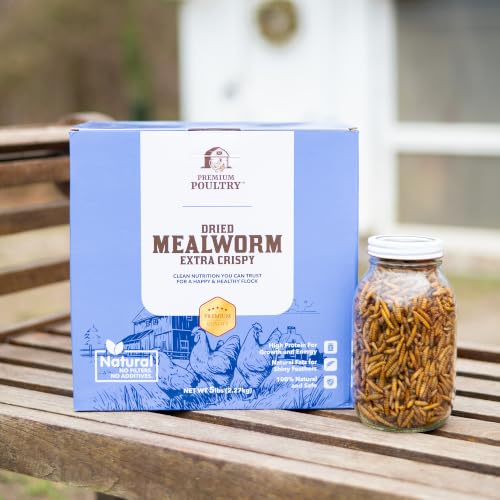 Mealworms for Chickens & Wild Birds,10 Lb - size: 10lb, style: Meal Worms