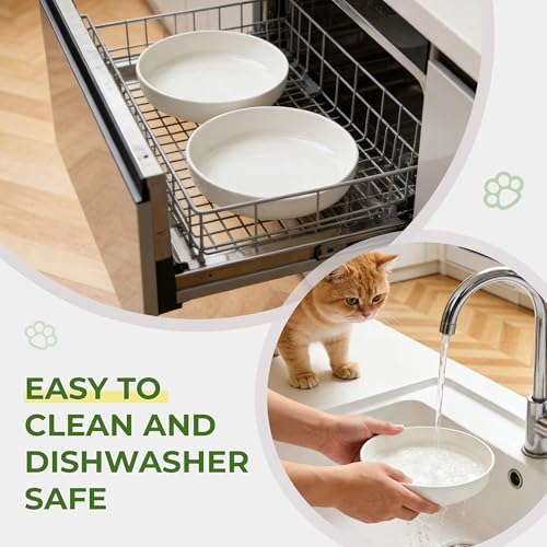 Raised Ceramic Cat Bowl 6.3" Wide Shallow Flat Bottom (2 Pack) - color: Raised Flat Bowl (2 Pack)