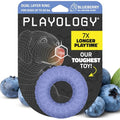 Playology Dual Layer Ring Dog Toy for Aggressive Chewers, Blueberry Scent - size: Medium, style: Blueberry