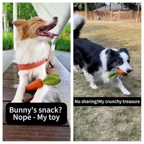 MewaJump Dog Chew Toys for Aggressive Chewers, Rubber Squeaky Dog Toys - color: carrot orange