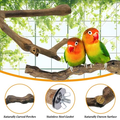 kathson 5pcs Natural Parrot Perch for Cage Wooden Bird Perches Grape Bird Stick Parakeet Climbing Standing Branches Toy Chewable Cage Accessories for Small Budgies Cockatiels Lovebirds Budgies