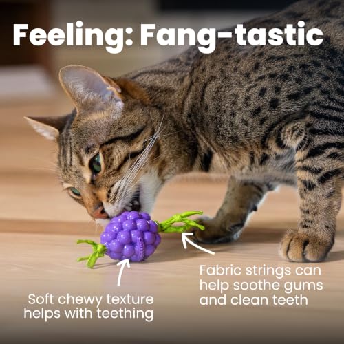 Catstages Bouncing Grape Teether Cat Toy, Soft and Textured Chew, Catnip Oil Coating