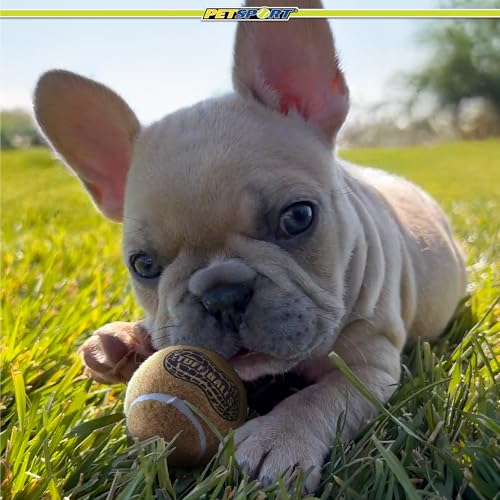 PetSport Junior Peanut Butter Tuff Ball Dog Toys | 6 Pack Jr. (1.8") Pet Safe Felt & Durable Rubber Tennis Balls | Play Fetch, Chuck or Toss at Dog Park - size: 1.8 Inches ( Pack of 6 )